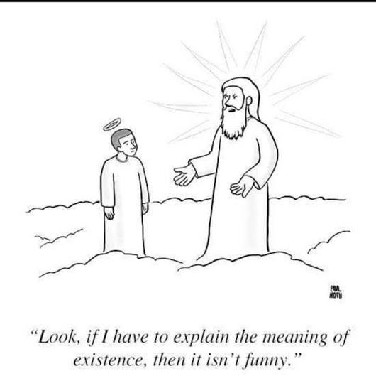 meaning of life cartoon joke